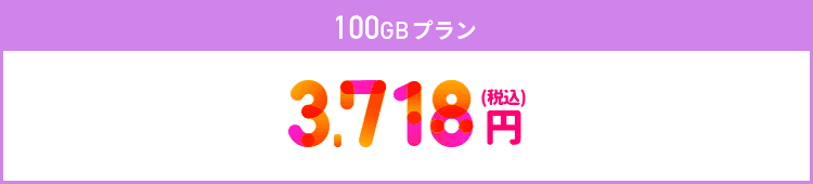 100GBプラン