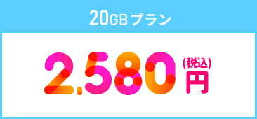 20GBプラン