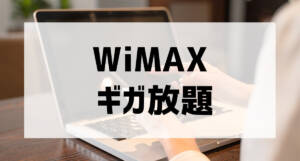 wimax gigahoudai001