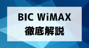 bicwimax 001