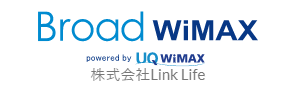 WiMAXは家電量販店よりもWeb契約がおすすめ!それぞれのメリット・デメリットを解説 12 wimax electronics store 010